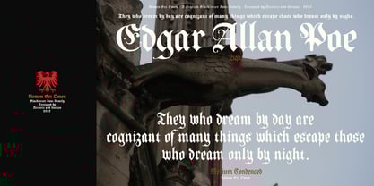 Nomen Est Omen Font Poster 13