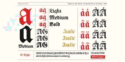 Nomen Est Omen Font Poster 5