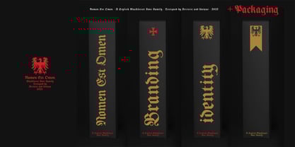 Nomen Est Omen Font Poster 11