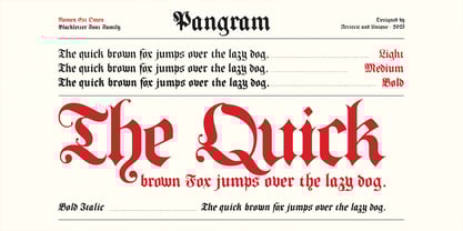 Nomen Est Omen Font Poster 14