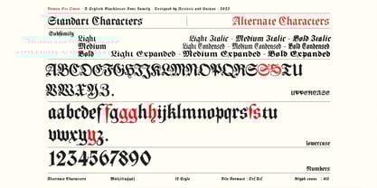 Nomen Est Omen Font Poster 4