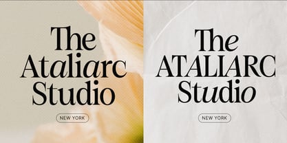 Figo Shiftz Editorial Serif Font Poster 5