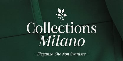 Figo Shiftz Editorial Serif Font Poster 15