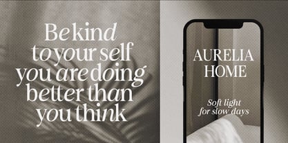 Figo Shiftz Editorial Serif Font Poster 9