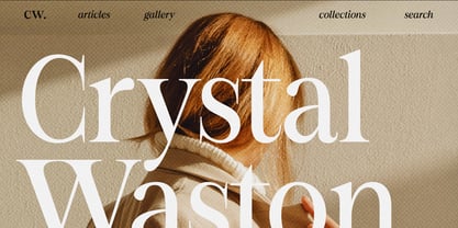 Figo Shiftz Editorial Serif Font Poster 3