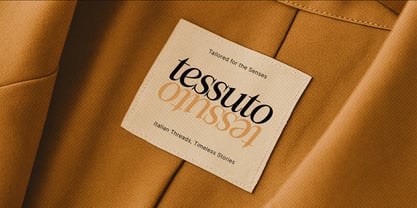 Figo Shiftz Editorial Serif Font Poster 11