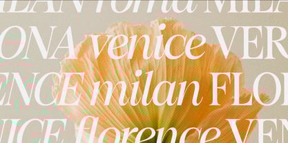 Figo Shiftz Editorial Serif Font Poster 7