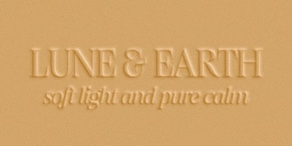 Figo Shiftz Editorial Serif Font Poster 8