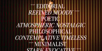 Figo Shiftz Editorial Serif Font Poster 12