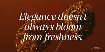 Figo Shiftz Editorial Serif Font Poster 10