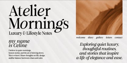 Figo Shiftz Editorial Serif Font Poster 2