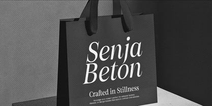 Figo Shiftz Editorial Serif Font Poster 13