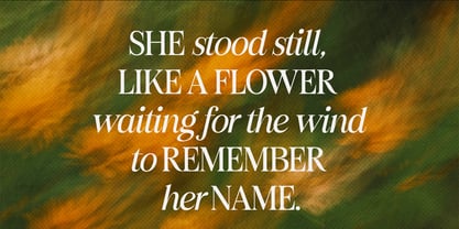 Figo Shiftz Editorial Serif Font Poster 4