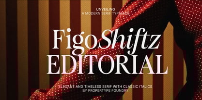 Figo Shiftz Editorial Serif Font Poster 1