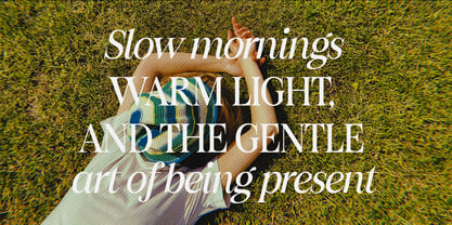 Figo Shiftz Editorial Serif Font Poster 6