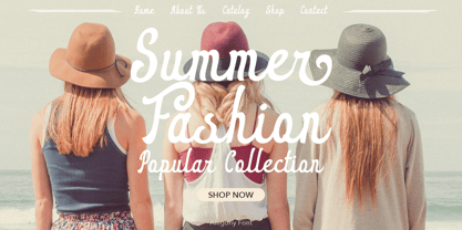 Alligony Font Poster 9