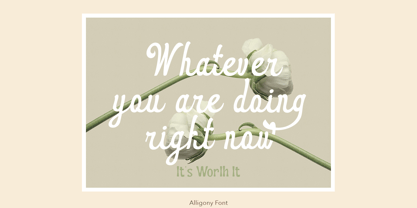 Alligony Font Poster 8