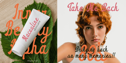 Alligony Font Poster 10