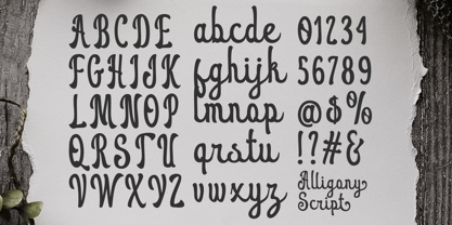Alligony Font Poster 4