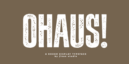 Ohaus Font Poster 1