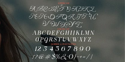 Berfal Font Poster 7