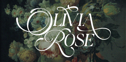 Berfal Font Poster 9