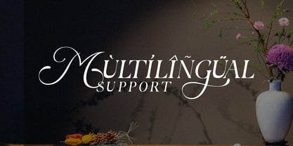 Berfal Font Poster 11