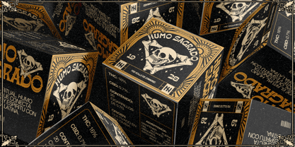 Sonarise la Fiesta Font Poster 8