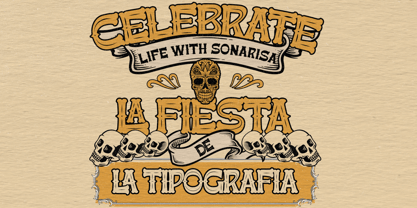 Sonarise la Fiesta Font Poster 13