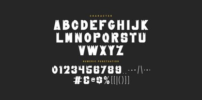 MC Liqudox Font Poster 7