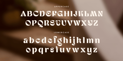 Grisen Font Poster 10
