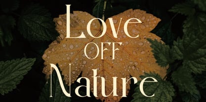 Tlasnos Font Poster 4