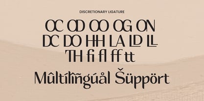 Helliona Display Font Poster 4