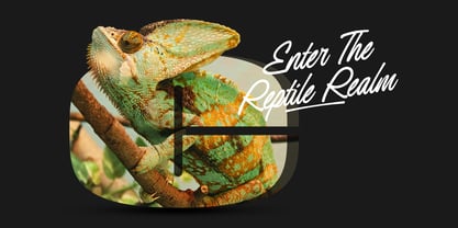 Redrun Font Poster 7