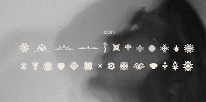 Barviera Font Poster 6