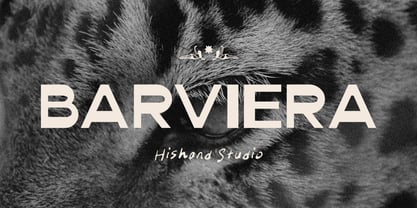Barviera Font Poster 1