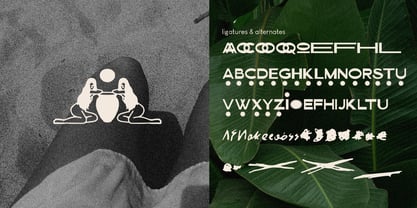 Barviera Font Poster 2