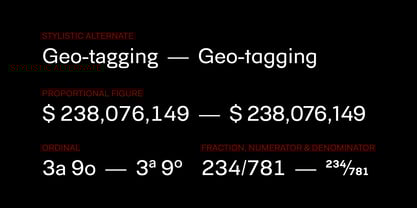 Berka Font Poster 10