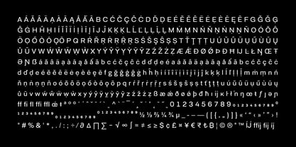 Berka Font Poster 11