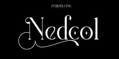 Nedcol Font Poster 1