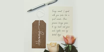 Golden Storyline Font Poster 5