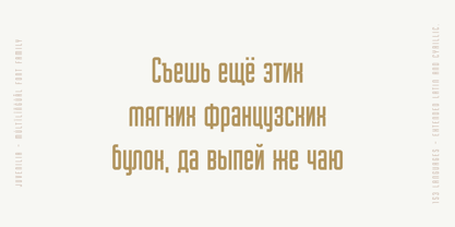 Juvenilia Font Poster 12