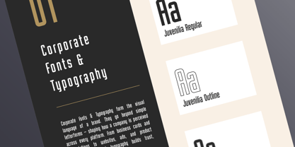 Juvenilia Font Poster 6