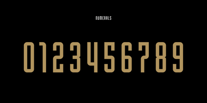 Juvenilia Font Poster 8