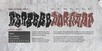 Vandal Crew Font Poster 11