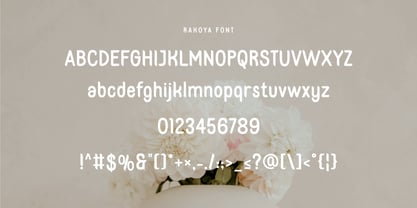 Rakoya Font Poster 6
