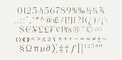 Story Guard Font | Webfont & Desktop | MyFonts