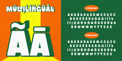 Flanky Font Poster 11