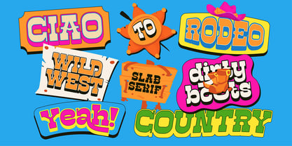 Truewild Font Poster 9