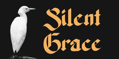 Kosegry Font Poster 4